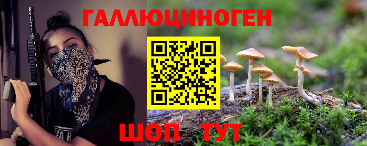 Псилоцибиновые грибы Magic Shrooms  продажа наркотиков  Омск  Вход с VPN 